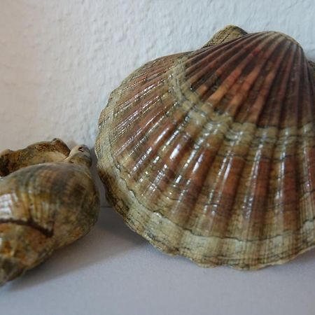 Ferienwohnung Kilonia Zewnętrze zdjęcie